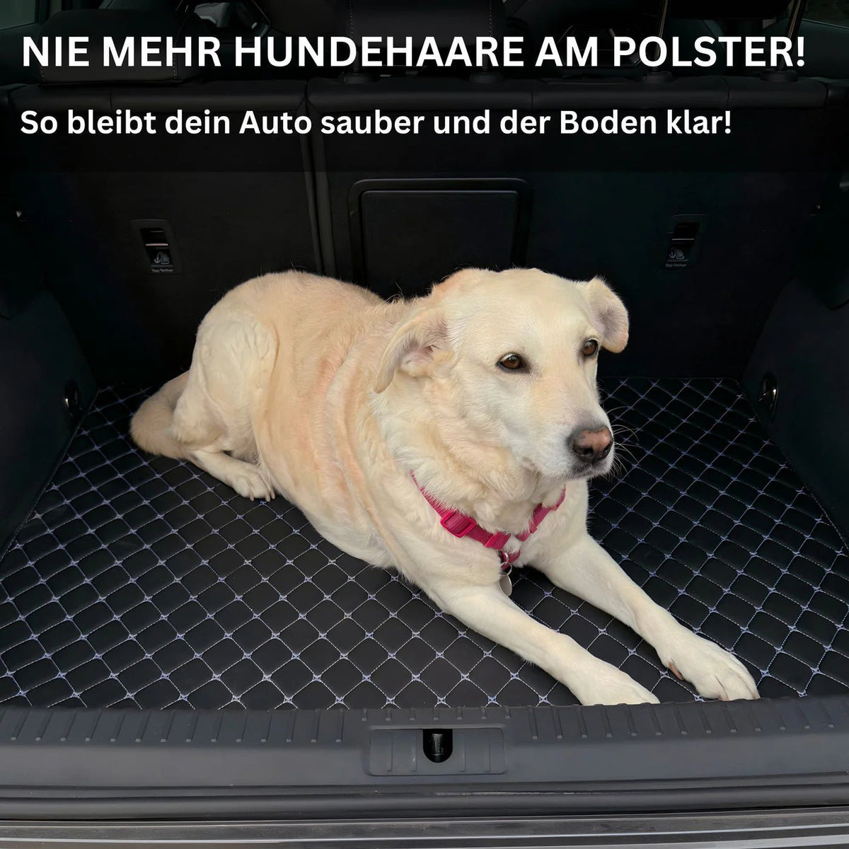 Auto Meister® Maßgeschneiderte Fußmatten - Automeister