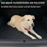 Auto Meister® Maßgeschneiderte Fußmatten - Automeister